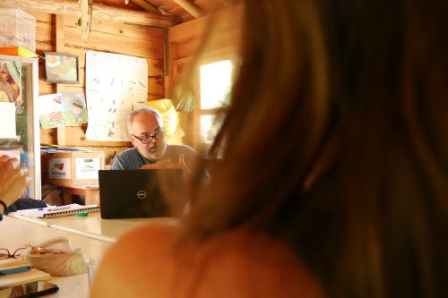 ScriptNest-13-agosto-23_06